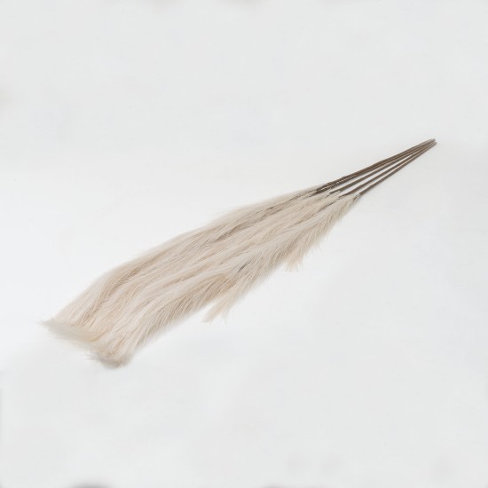 Set 5 fire de pampas, culoare crem, H 120 cm, B.S.P. / SL399_4