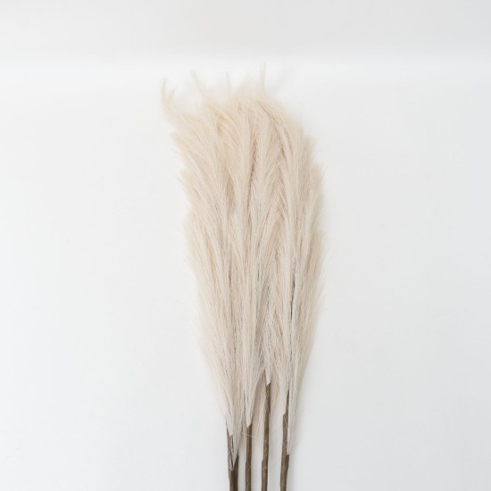 Set 5 fire de pampas, culoare crem, H 120 cm, B.S.P. / SL399_4