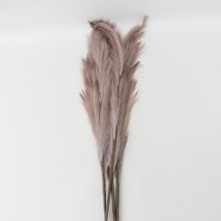 Set 5 fire de pampas, culoare maro, H 120 cm, B.S.P. / SL399_3