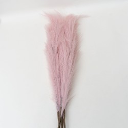 Set 5 fire de pampas, culoare roz, H 120 cm, B.S.P. / SL399_2
