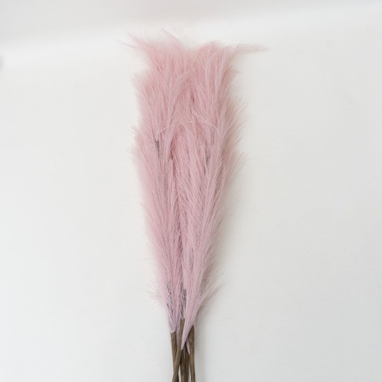 Set 5 fire de pampas, culoare roz, H 120 cm, B.S.P. / SL399_2