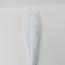 Set 5 fire de pampas, culoare alb, H 120 cm, B.S.P. / SL399_1