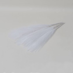 Set 5 fire de pampas, culoare alb, H 42 cm, B.S.P. / SL400_2