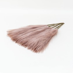 Set 5 fire de pampas, culoare roz inchis, H 42 cm, B.S.P. / SL400_3