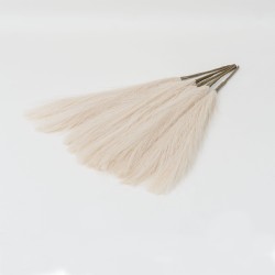 Set 5 fire de pampas, culoare crem, H 42 cm, B.S.P. / SL400_1
