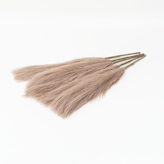 Set 5 fire de pampas, culoare maro, H 42 cm, B.S.P. / SL400_5