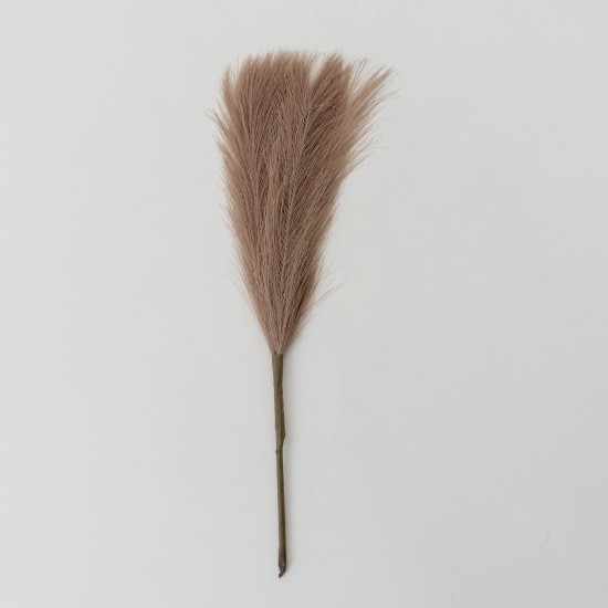 Set 5 fire de pampas, culoare maro, H 42 cm, B.S.P. / SL400_5