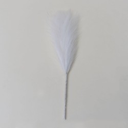 Set 5 fire de pampas, culoare alb, H 42 cm, B.S.P. / SL400_2