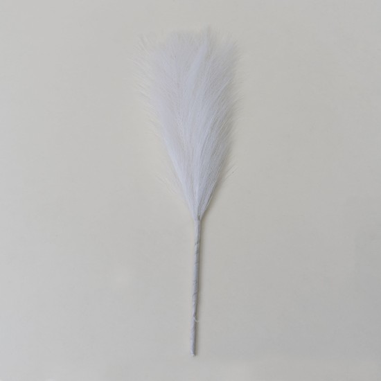 Set 5 fire de pampas, culoare alb, H 42 cm, B.S.P. / SL400_2