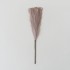 Set 5 fire de pampas, culoare roz inchis, H 42 cm, B.S.P. / SL400_3
