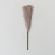 Set 5 fire de pampas, culoare roz inchis, H 42 cm, B.S.P. / SL400_3
