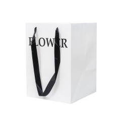 Punga din carton, culoare alb, 2/set, 35x25x25 cm, B.S.P. / SL430_A