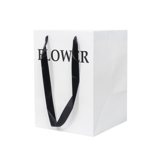 Punga din carton, culoare alb, 2/set, 35x25x25 cm, B.S.P. / SL430_A