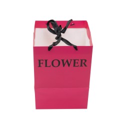 Punga din carton, culoare rosu, 2/set, 35x25x25 cm, B.S.P. / SL430_R