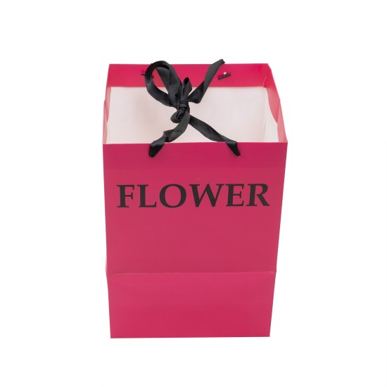 Punga din carton, culoare rosu, 2/set, 35x25x25 cm, B.S.P. / SL430_R