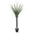 Copac artificial in ghiveci, model Aloe, 160x70 cm, B.S.P. / SL443