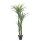 Copac artificial in ghiveci, model Dracaena, 160x60 cm, B.S.P. / SL444