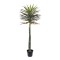 Copac artificial in ghiveci, model Yucca, 160x60 cm, B.S.P. / SL445