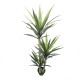 Copac artificial in ghiveci, model Dracaena, 150x50 cm, B.S.P. / SL446