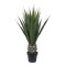 Copac artificial in ghiveci, model Agave, 150x50 cm, B.S.P. / SL447