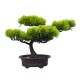 Bonsai in ghiveci, culoare verde, 34x24 cm, B.S.P. / SL613