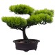 Bonsai in ghiveci, culoare verde, 34x24 cm, B.S.P. / SL613