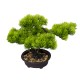 Bonsai in ghiveci, culoare verde, 34x24 cm, B.S.P. / SL613