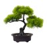 Bonsai in ghiveci, culoare verde, 25X15X12 cm, B.S.P. / SL614