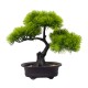 Bonsai in ghiveci, culoare verde, 25X15X12 cm, B.S.P. / SL614