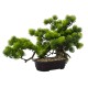 Bonsai in ghiveci, culoare verde, 55x33 cm, B.S.P. / SL616