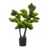 Bonsai in ghiveci, culoare verde, 65x50 cm, B.S.P. / SL617