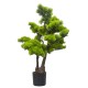 Bonsai in ghiveci, culoare verde, 65x50 cm, B.S.P. / SL617