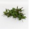 Buchet frunze artificiale, H 50 cm, B.S.P. / SL619