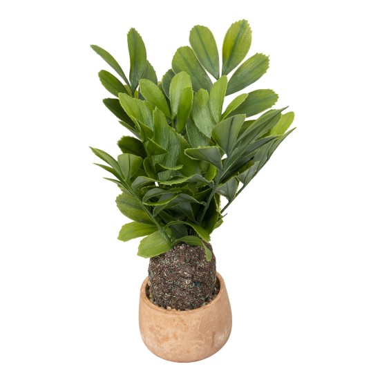 Decoratiune artificiala, model palmier, ghiveci ceramica H 43 cm, B.S.P. / SL674