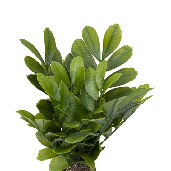 Decoratiune artificiala, model palmier, ghiveci ceramica H 43 cm, B.S.P. / SL674