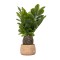 Decoratiune artificiala, model palmier, ghiveci ceramica H 43 cm, B.S.P. / SL674