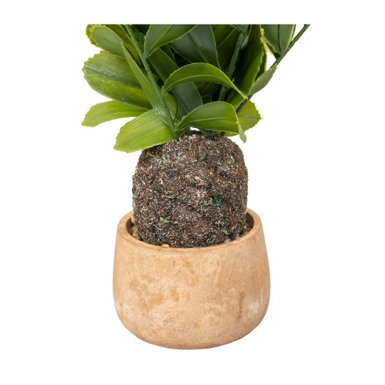 Decoratiune artificiala, model palmier, ghiveci ceramica H 43 cm, B.S.P. / SL674