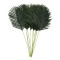 Frunze artificiale de palmier, culoare verde, 12/set, 90x30 cm, B.S.P. / SL682