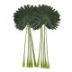Frunze artificiale de palmier, culoare verde, 12/set, 75x35cm, B.S.P. / SL683