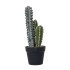Decoratiune artificiala, cactus in ghiveci de plastic, H 40 cm, B.S.P. / SL693-1
