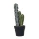 Decoratiune artificiala, cactus in ghiveci de plastic, H 40 cm, B.S.P. / SL693-1