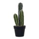 Decoratiune artificiala, cactus in ghiveci de plastic, H 40 cm, B.S.P. / SL693-1