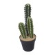 Decoratiune artificiala, cactus in ghiveci de plastic, H 40 cm, B.S.P. / SL693-1