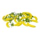 Funie fructe artificiale, model banane, set 5 funii, L 50 cm, B.S.P. / SL703_B