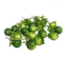 Funie fructe artificiale, model pepene, set 5 funii, L 50 cm, B.S.P. / SL703_P