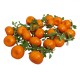Funie fructe artificiale, model mandarine, set 5 funii, L 50 cm, B.S.P. / SL703_M