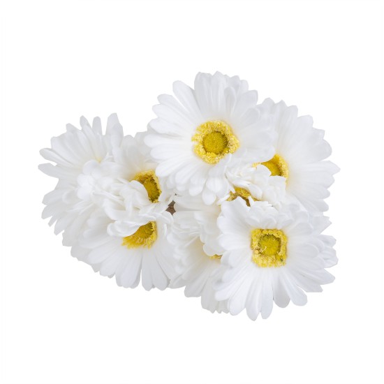 Buchet 10 margarete, culoare alb, H 30 cm, B.S.P. / SL738