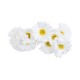 Buchet 10 margarete, culoare alb, H 30 cm, B.S.P. / SL738