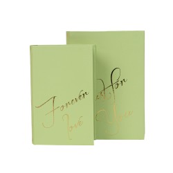 Set 2 cutii cu forma de carte, culoare verde, B.S.P. / SL940_1