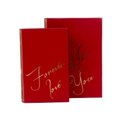 Set 2 cutii cu forma de carte, culoare rosu, B.S.P. / SL940_6